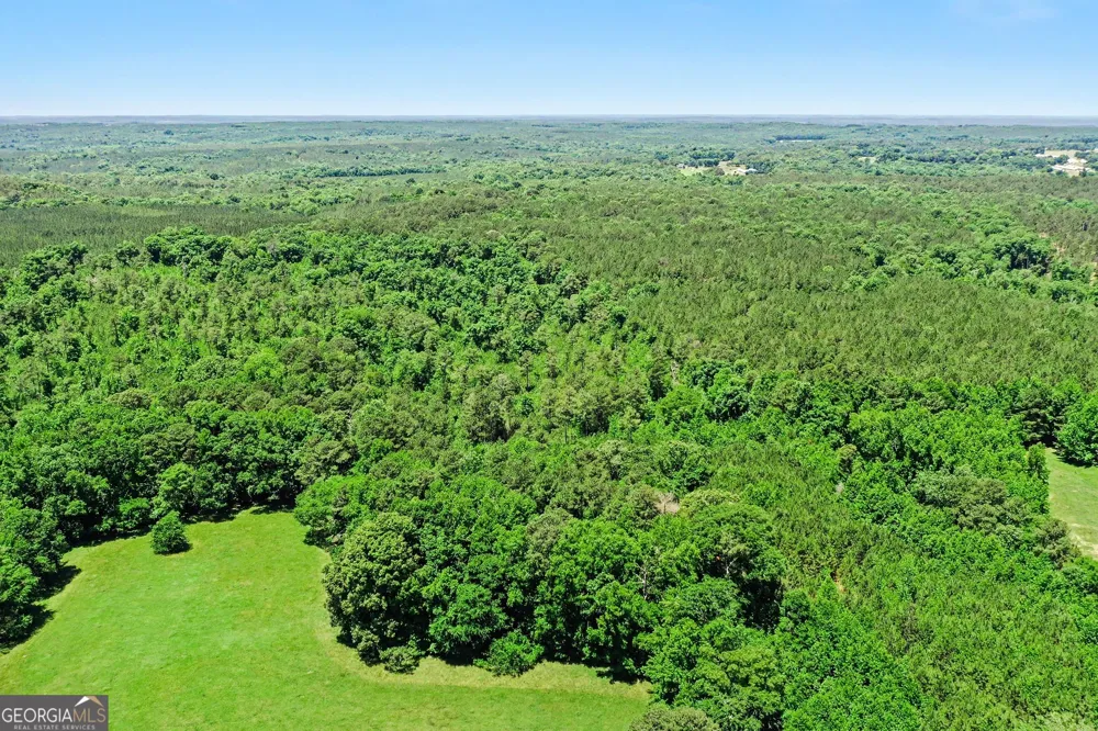 0 Court Ground RD Washington, GA 30673