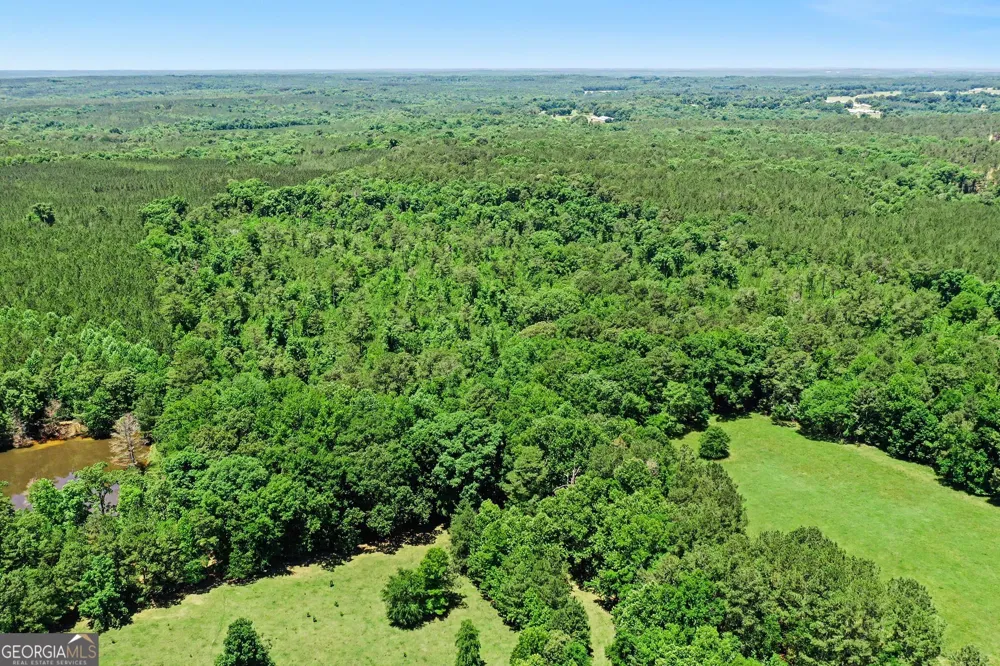 0 Court Ground RD Washington, GA 30673
