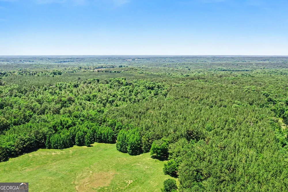 0 Court Ground RD Washington, GA 30673