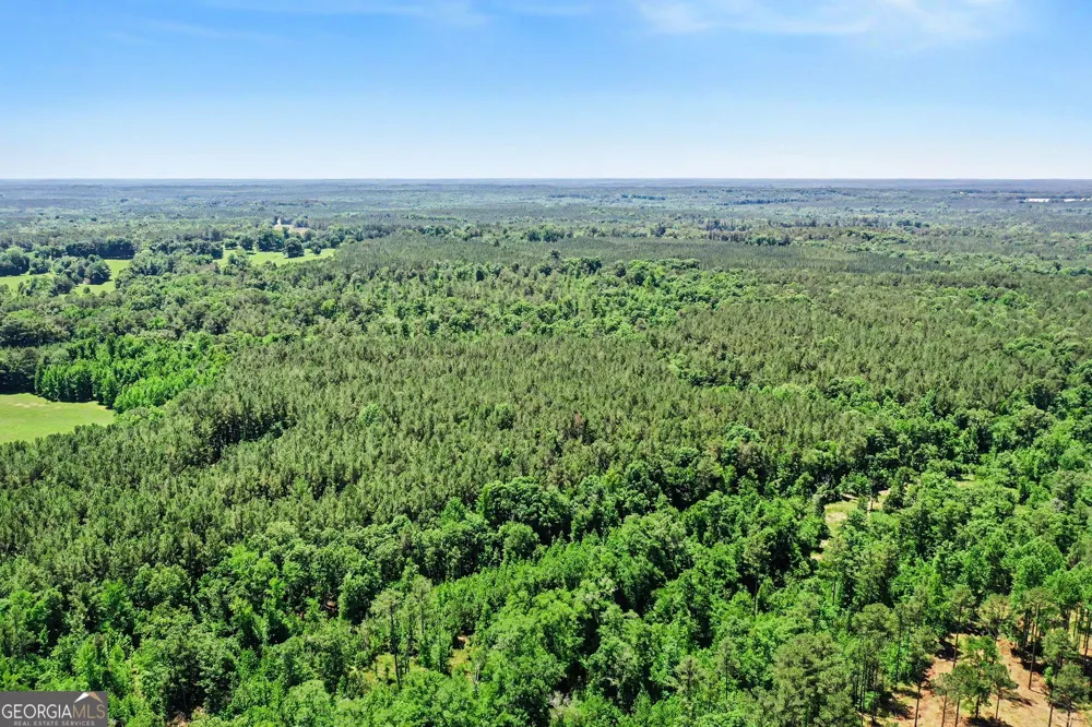 0 Court Ground RD Washington, GA 30673