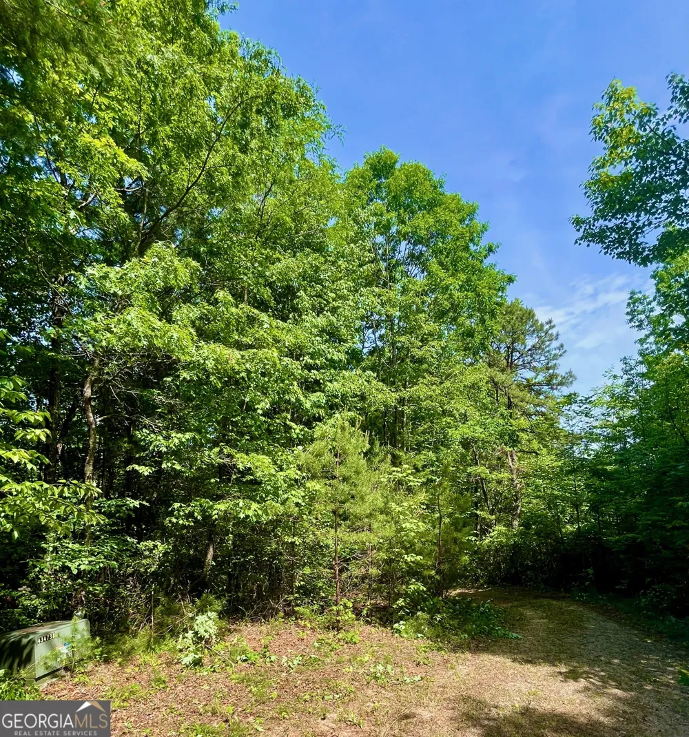 0 Bluff Mtn Dillard, GA 30537