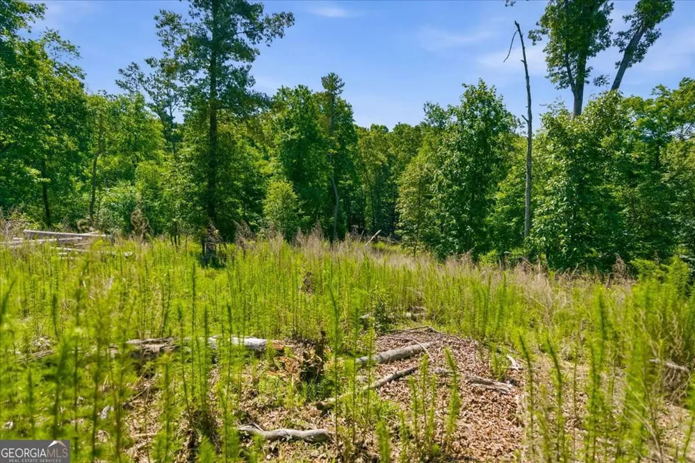 0 Williams RD SE Silver Creek, GA 30173