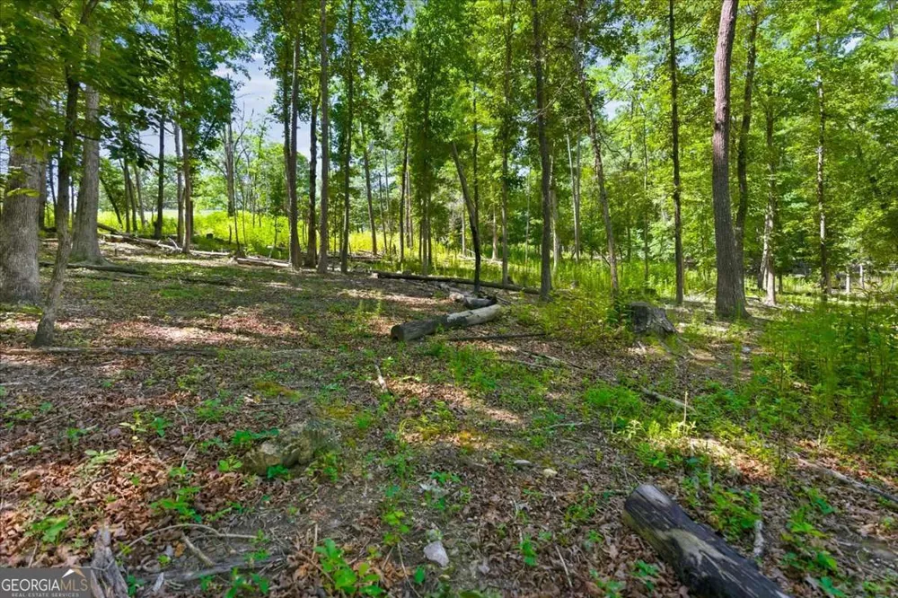 0 Williams RD SE Silver Creek, GA 30173