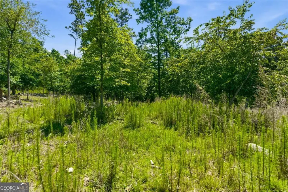 0 Williams RD SE Silver Creek, GA 30173