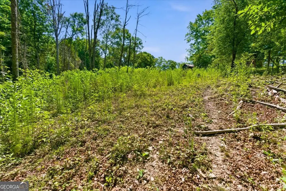 0 Williams RD SE Silver Creek, GA 30173