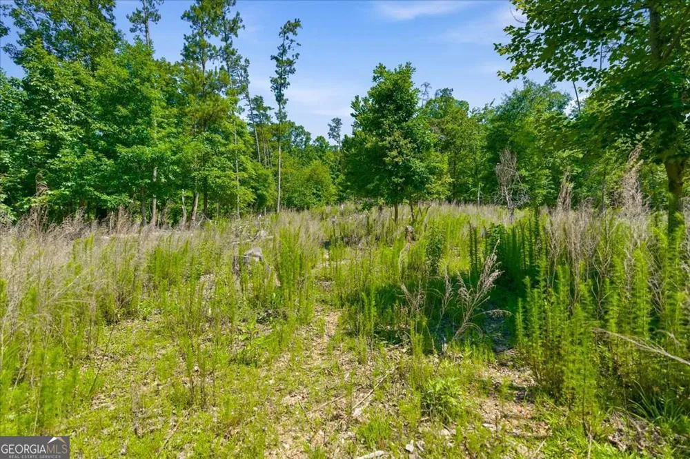 0 Williams RD SE Silver Creek, GA 30173