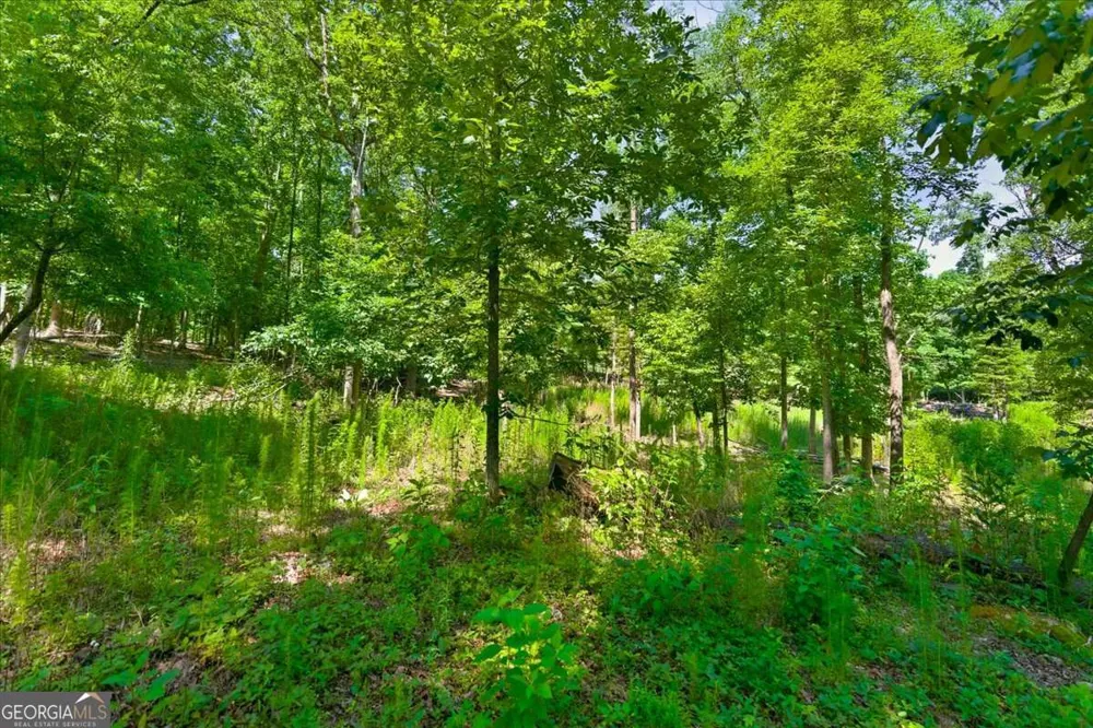 0 Williams RD SE Silver Creek, GA 30173