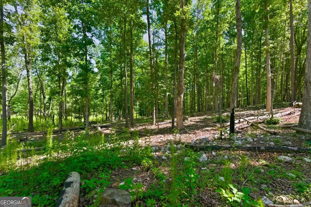 0 Williams RD SE Silver Creek, GA 30173