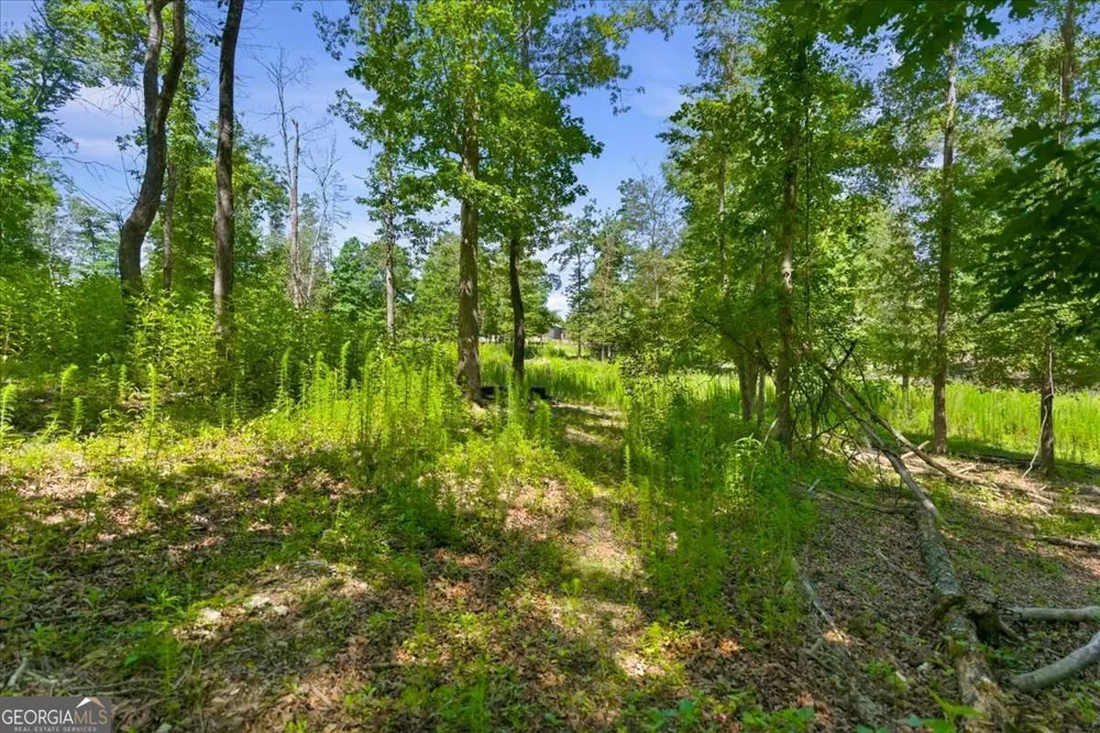 0 Williams RD SE Silver Creek, GA 30173