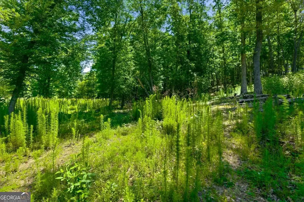 0 Williams RD SE Silver Creek, GA 30173