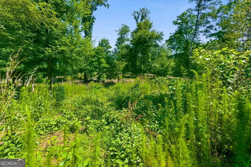 0 Williams RD SE Silver Creek, GA 30173