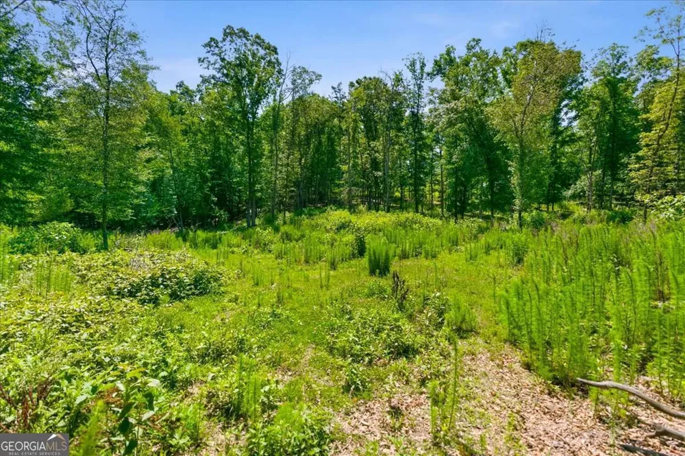 0 Williams RD SE Silver Creek, GA 30173