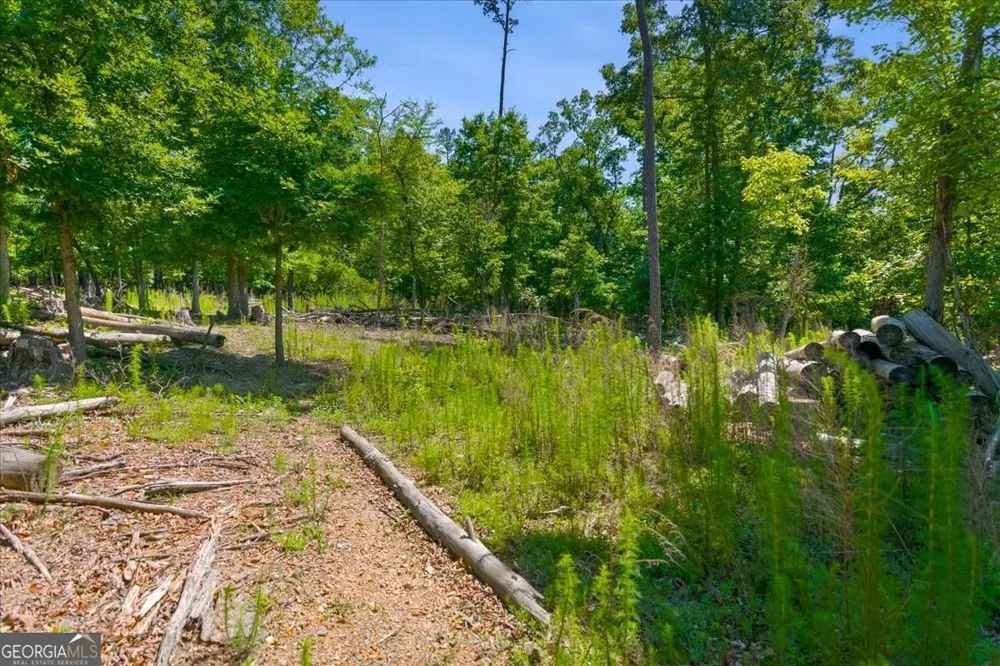 0 Williams RD SE Silver Creek, GA 30173