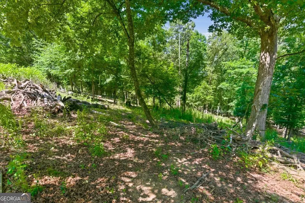 0 Williams RD SE Silver Creek, GA 30173
