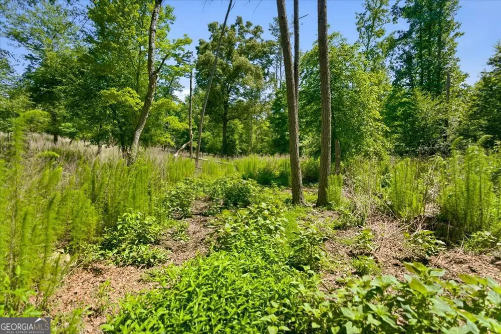 0 Williams RD SE Silver Creek, GA 30173