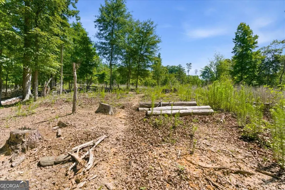 0 Williams RD SE Silver Creek, GA 30173