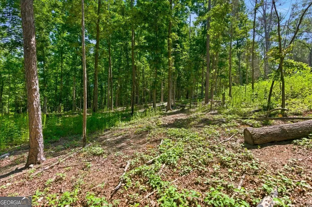0 Williams RD SE Silver Creek, GA 30173
