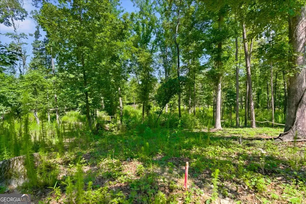 0 Williams RD SE Silver Creek, GA 30173