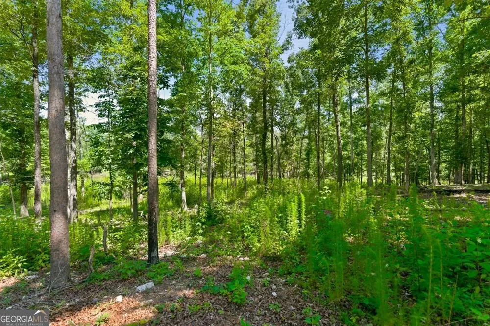 0 Williams RD SE Silver Creek, GA 30173