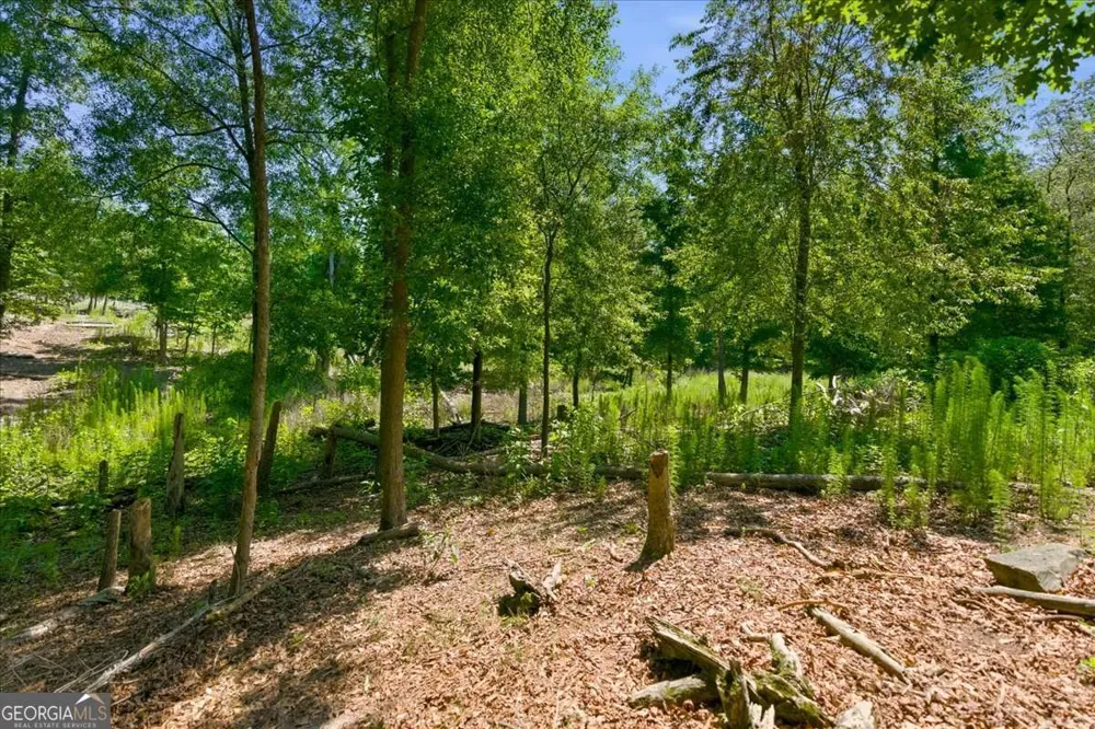 0 Williams RD SE Silver Creek, GA 30173