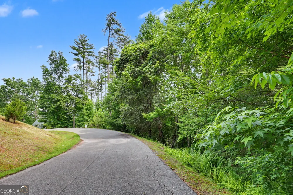 56 Walker Ridge WAY Mineral Bluff, GA 30559