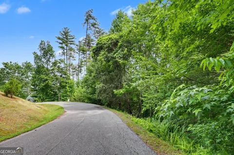56 Walker Ridge WAY