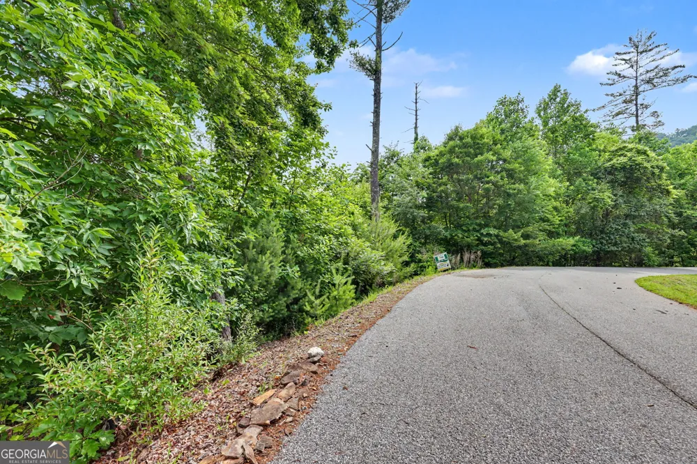 56 Walker Ridge WAY Mineral Bluff, GA 30559