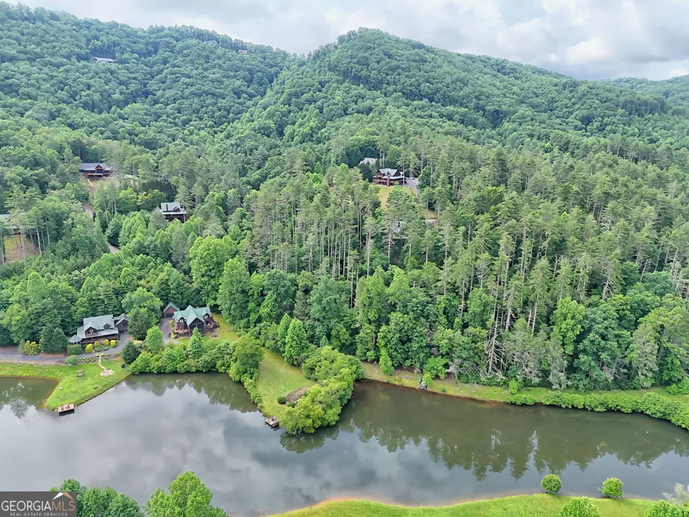 56 Walker Ridge WAY Mineral Bluff, GA 30559