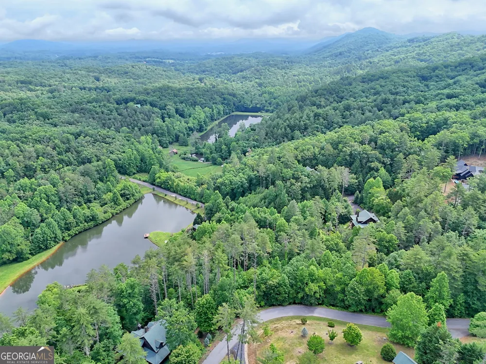 56 Walker Ridge WAY Mineral Bluff, GA 30559