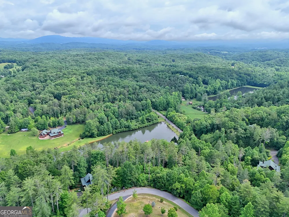 56 Walker Ridge WAY Mineral Bluff, GA 30559