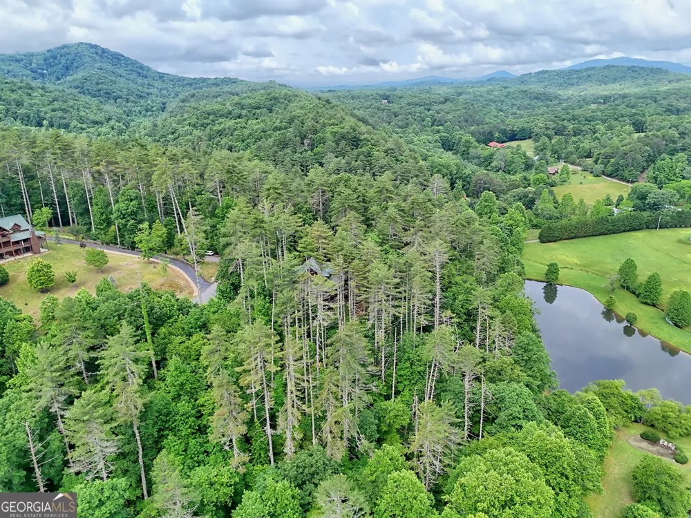 56 Walker Ridge WAY Mineral Bluff, GA 30559