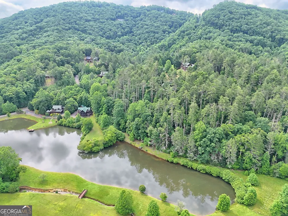 56 Walker Ridge WAY Mineral Bluff, GA 30559