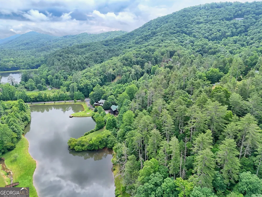 56 Walker Ridge WAY Mineral Bluff, GA 30559