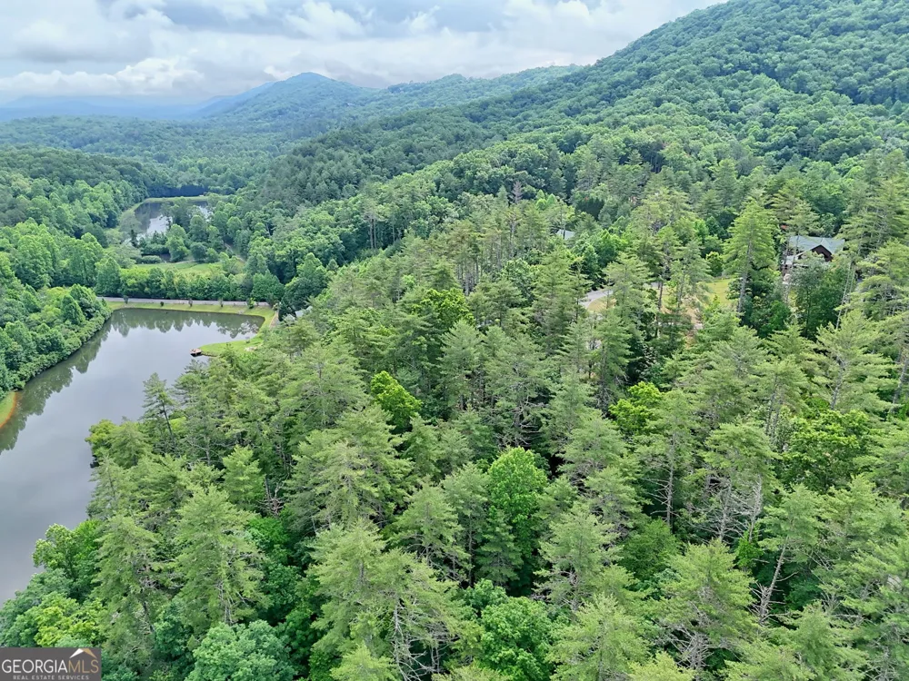 56 Walker Ridge WAY Mineral Bluff, GA 30559