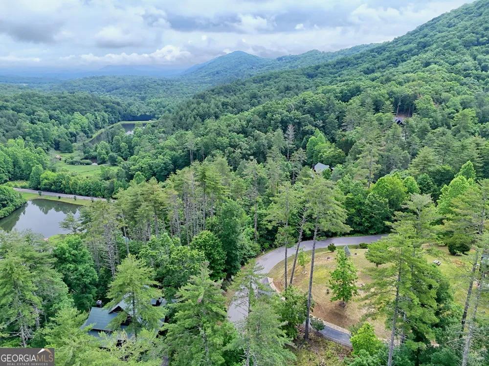 56 Walker Ridge WAY Mineral Bluff, GA 30559