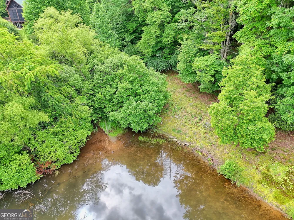 56 Walker Ridge WAY Mineral Bluff, GA 30559