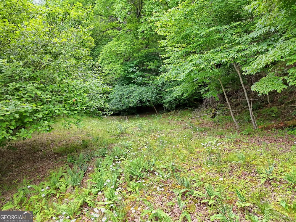 56 Walker Ridge WAY Mineral Bluff, GA 30559