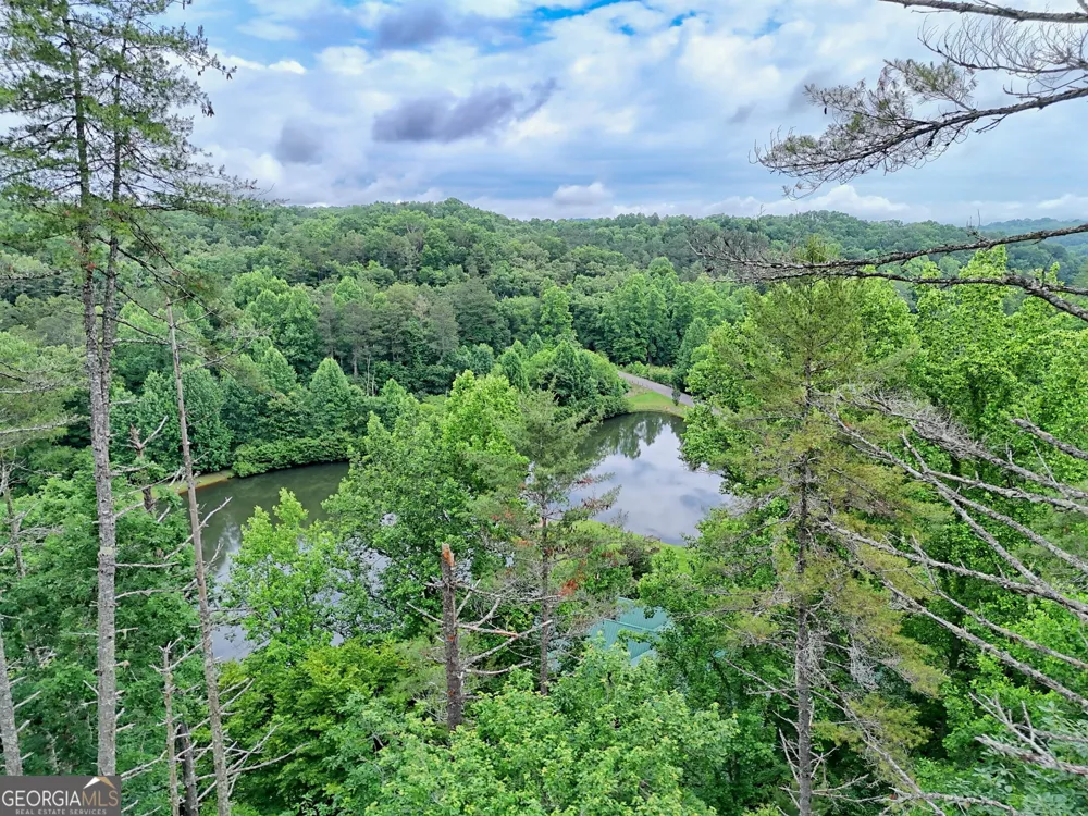 56 Walker Ridge WAY Mineral Bluff, GA 30559