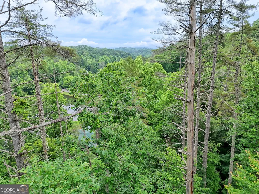 56 Walker Ridge WAY Mineral Bluff, GA 30559