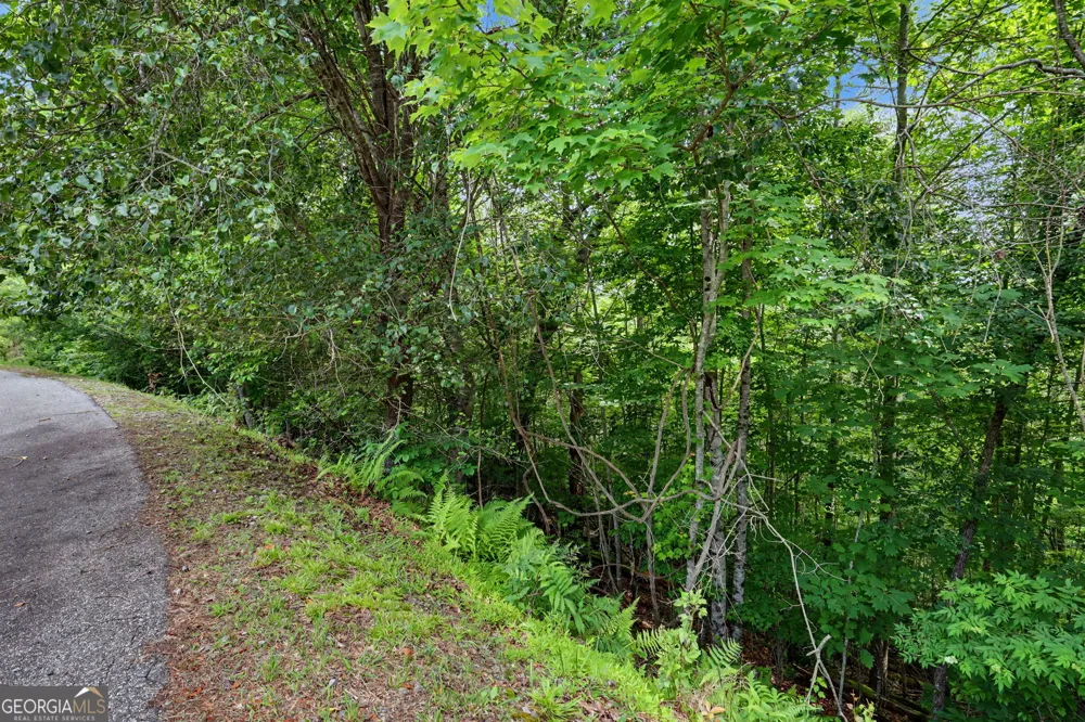 56 Walker Ridge WAY Mineral Bluff, GA 30559
