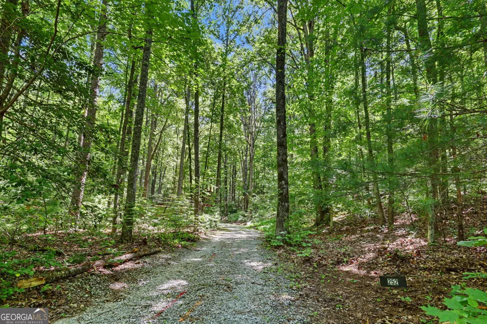 252 Navigator LN Tiger, GA 30576