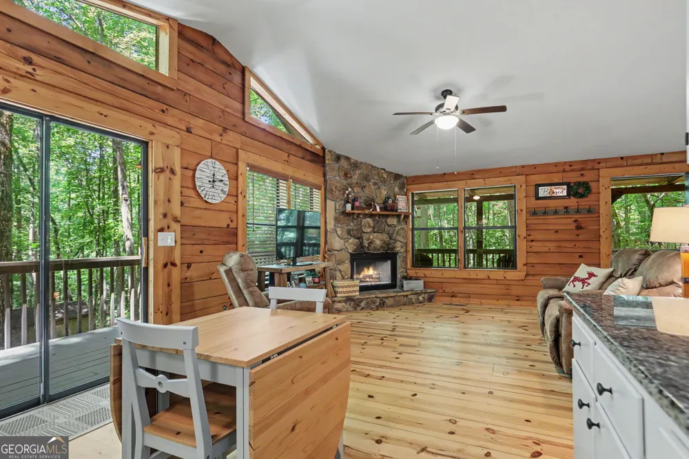 252 Navigator LN Tiger, GA 30576