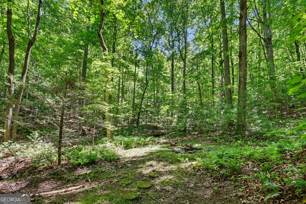 252 Navigator LN Tiger, GA 30576
