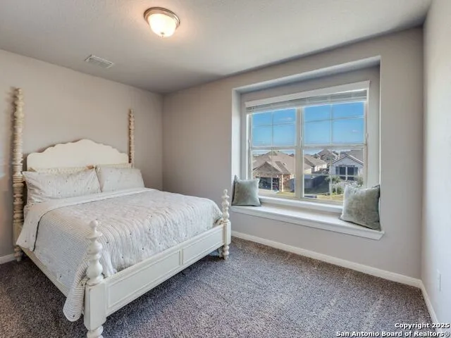 3631 Conrads Cloud New Braunfels, TX 78130
