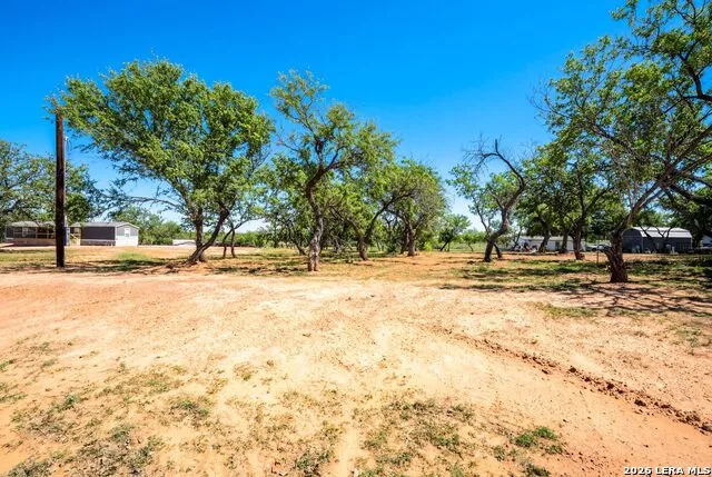 22218 Savannah Von Ormy, TX 78073