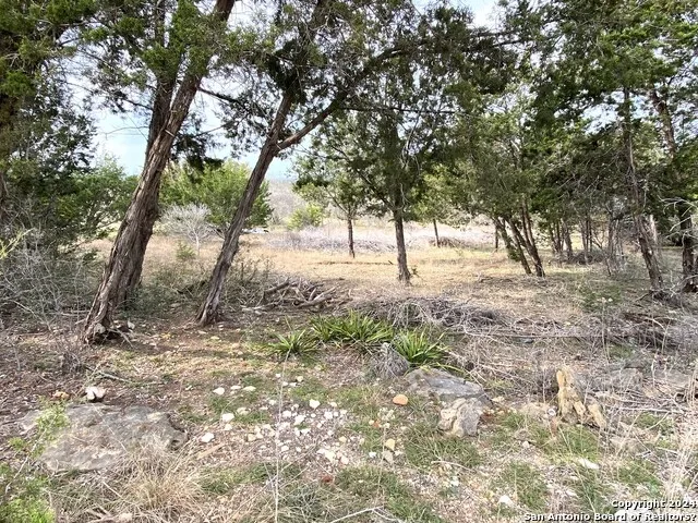 LOTS 28-29 LAKESHORE Bandera, TX 78003