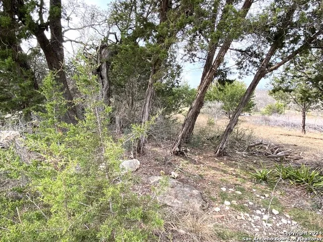 LOTS 28-29 LAKESHORE Bandera, TX 78003