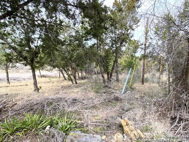 LOTS 28-29 LAKESHORE Bandera, TX 78003