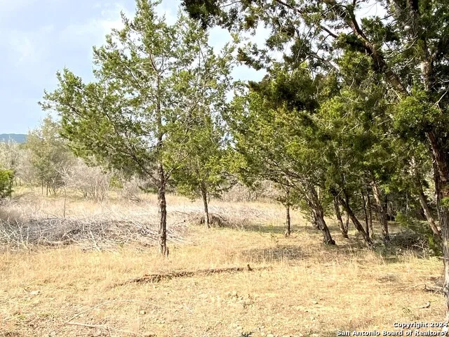 LOTS 28-29 LAKESHORE Bandera, TX 78003