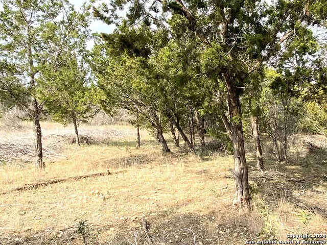 LOTS 28-29 LAKESHORE Bandera, TX 78003
